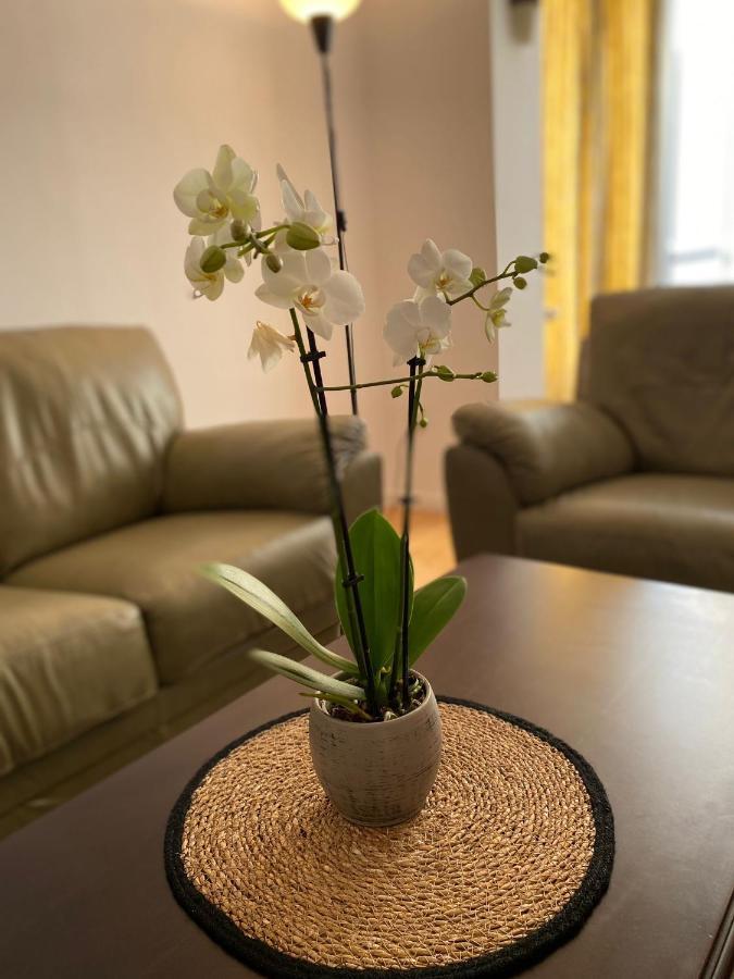 Mv Central Apartment & Garage - Self Check-In ทิมิชัวรา ภายนอก รูปภาพ